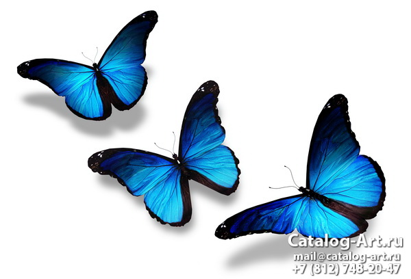  Butterflies 43